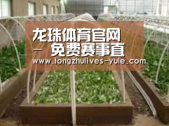 环境展示五