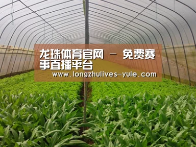 种植基地四