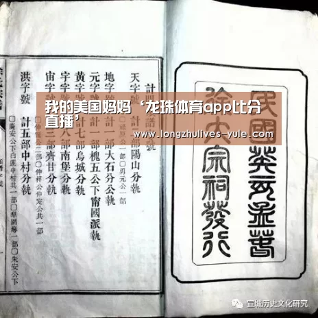 龙珠体育app比分直播