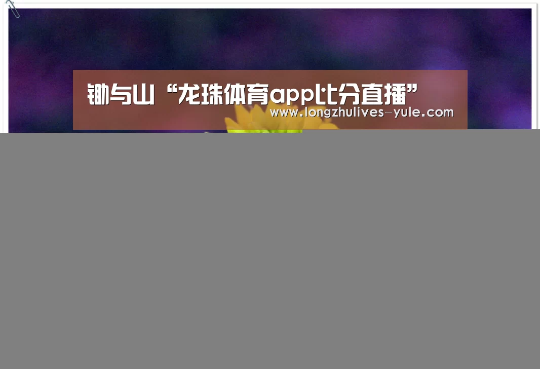 龙珠体育app比分直播