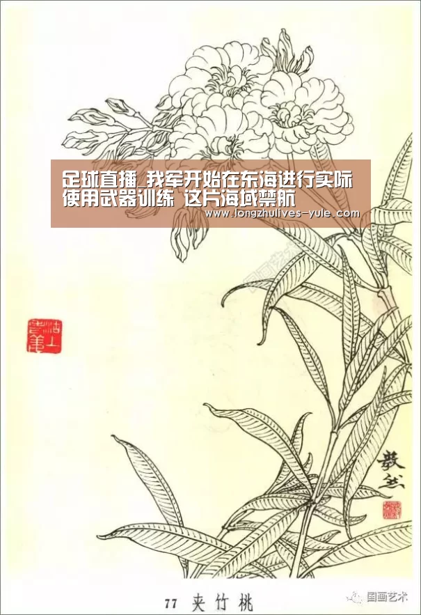 足球直播_我军开始在东海进行实际使用武器训练 这片海域禁航(图3) 赛事数据直播