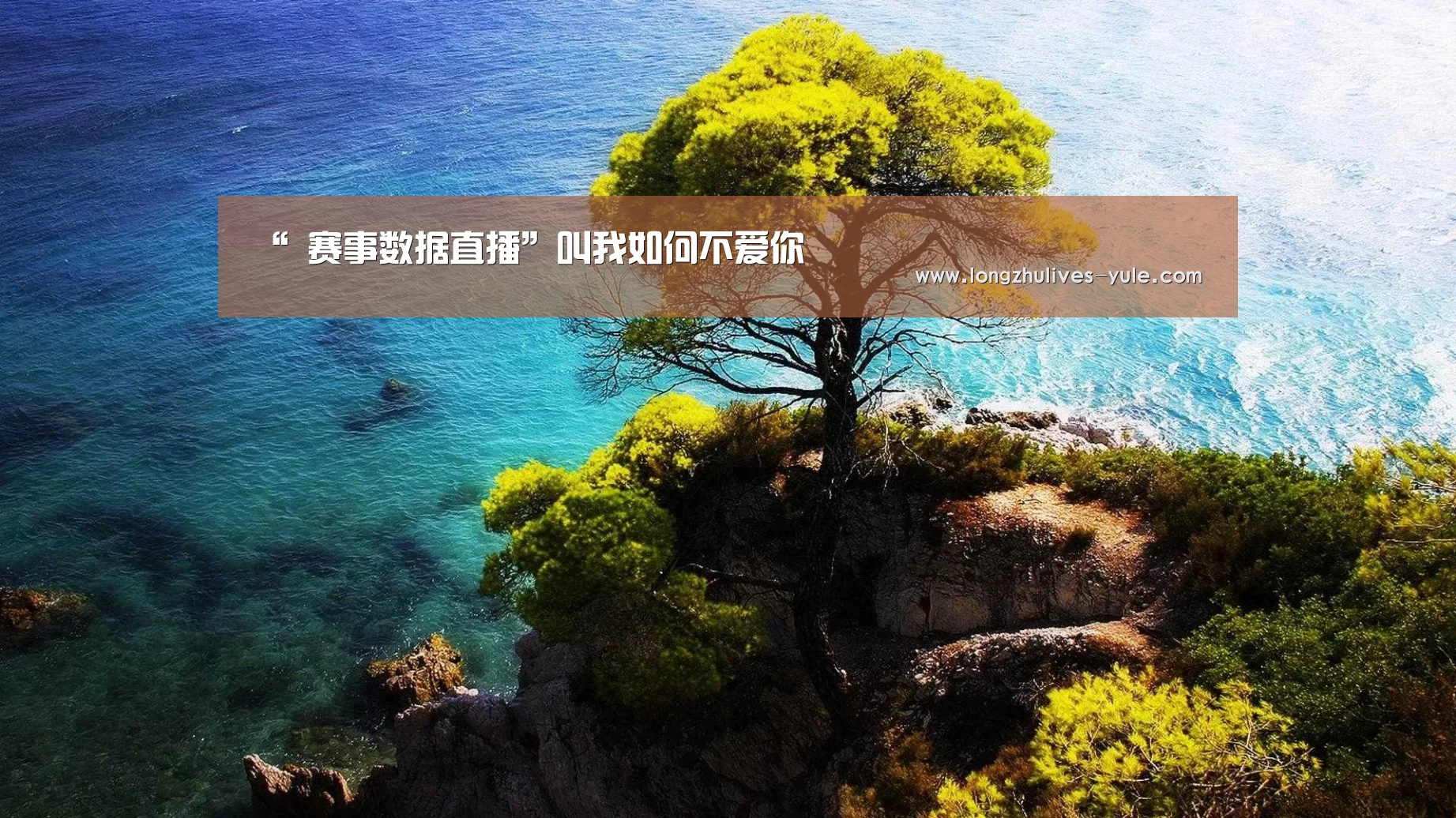  足球直播