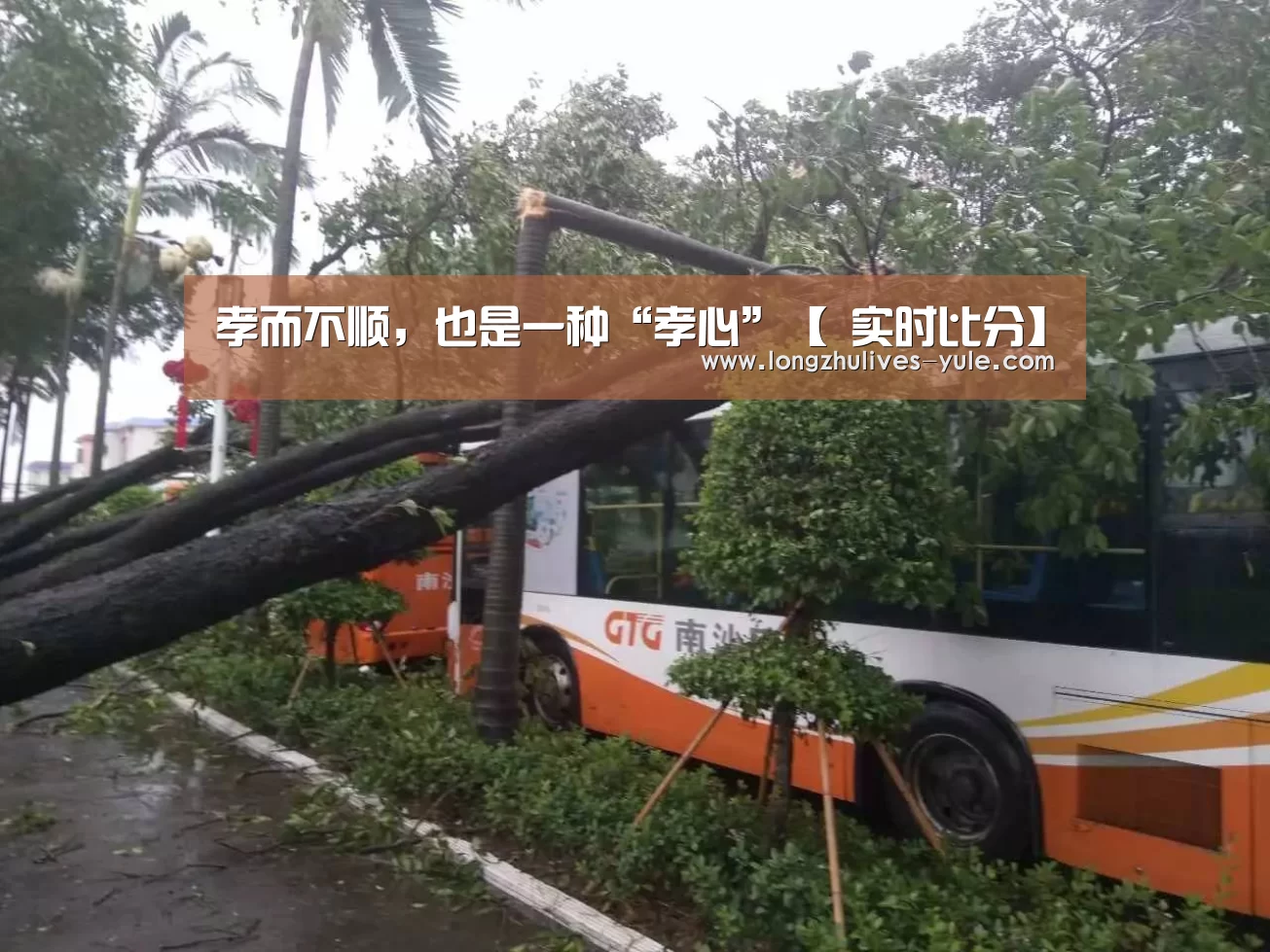 孝而不顺,也是一种“孝心”【 实时比分】(图1) 实时比分